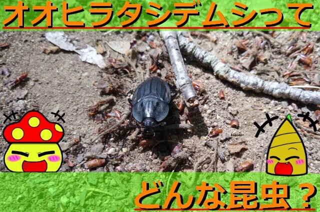 Thumbnail of post image 044